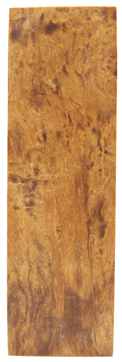 Karelische Maserbirke 107 - knifematerio.shop