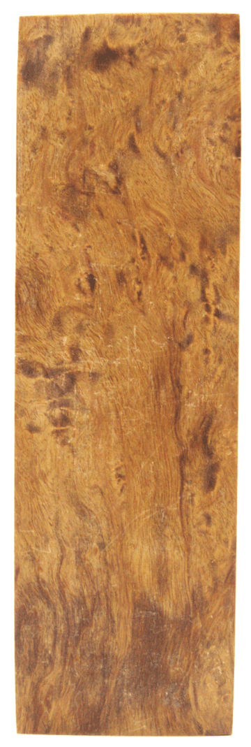 Karelische Maserbirke 107 - knifematerio.shop