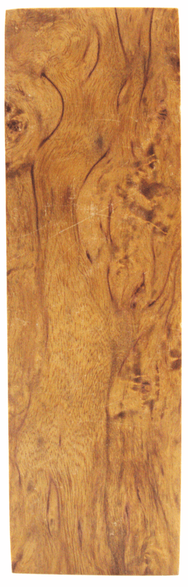 Karelische Maserbirke 107 - knifematerio.shop