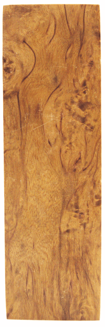 Karelische Maserbirke 107 - knifematerio.shop