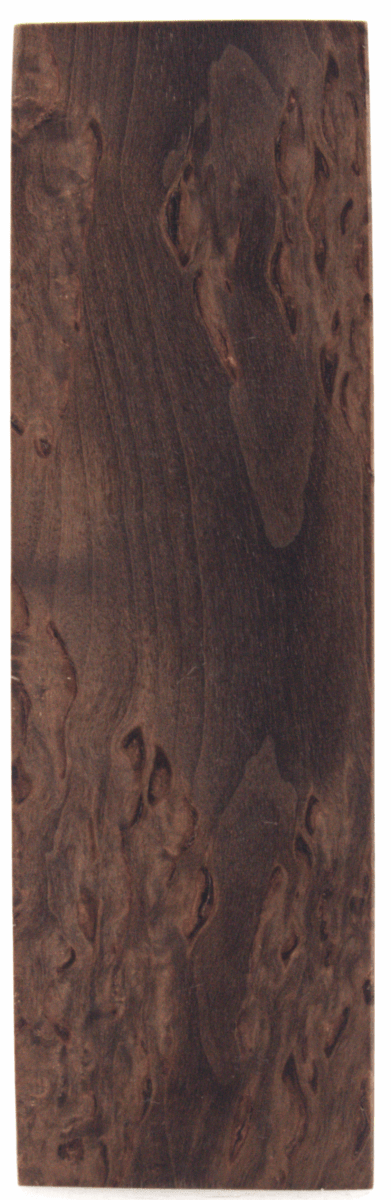 Karelische Maserbirke 126 - knifematerio.shop