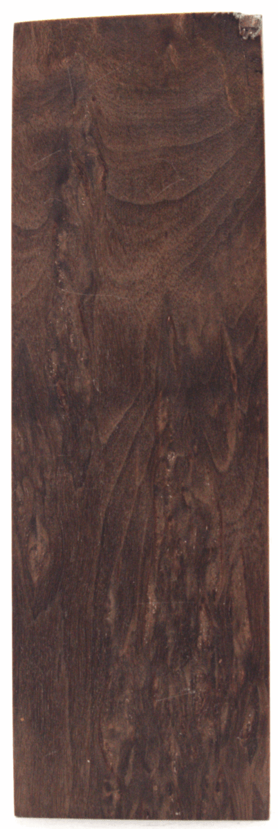 Karelische Maserbirke 127 - knifematerio.shop