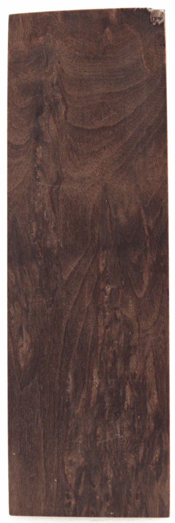 Karelische Maserbirke 127 - knifematerio.shop