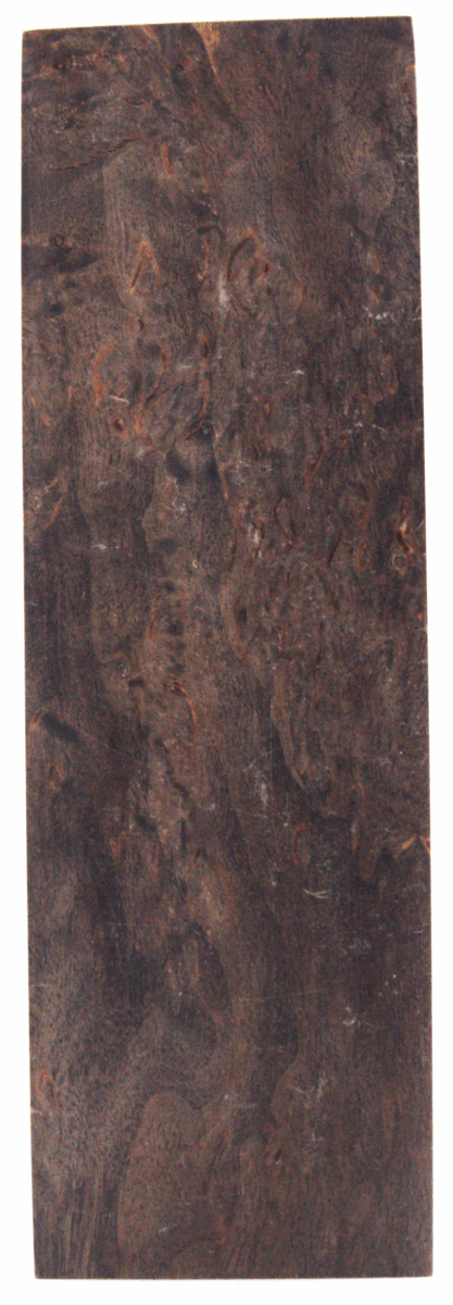 Karelische Maserbirke 135 - knifematerio.shop