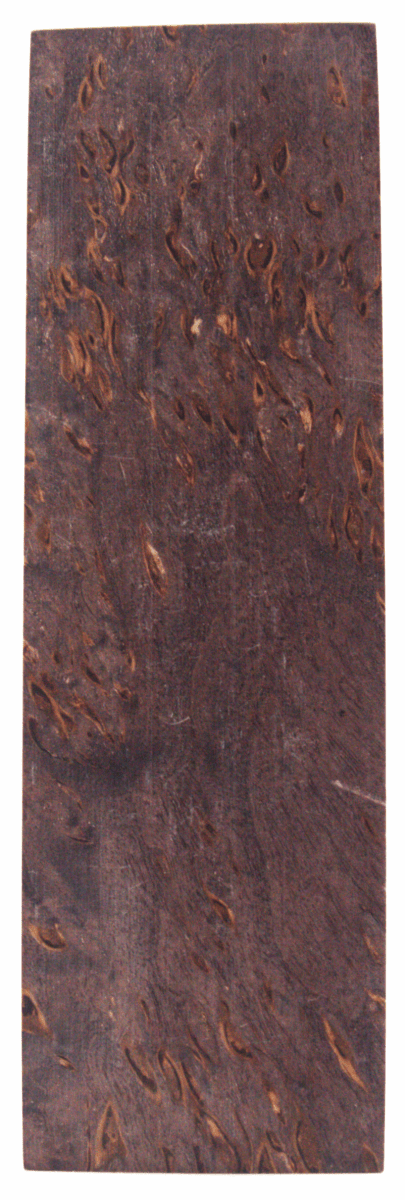Karelische Maserbirke 141 - knifematerio.shop