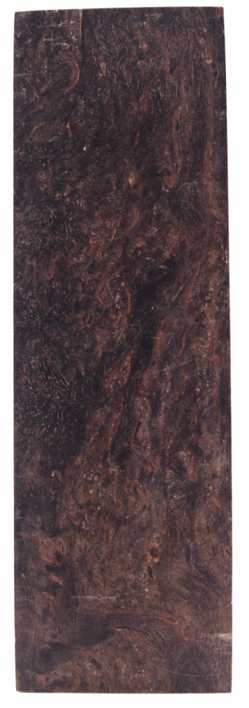 Karelische Maserbirke 160 - knifematerio.shop