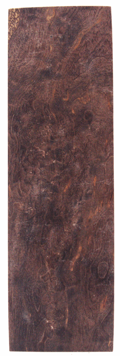 Karelische Maserbirke 167 - knifematerio.shop