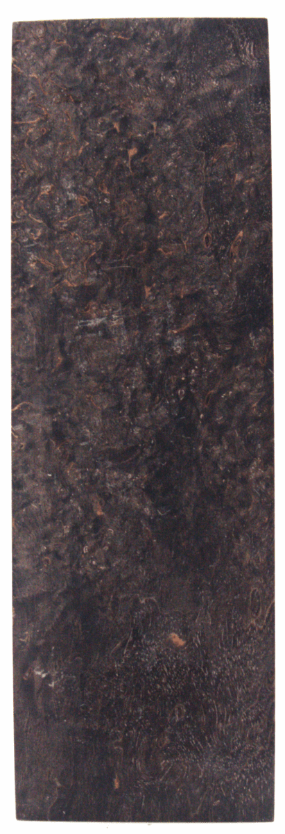 Karelische Maserbirke 168 - knifematerio.shop
