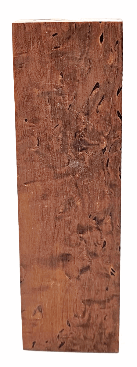 Karelische Maserbirke 172 - knifematerio.shop
