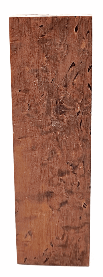 Karelische Maserbirke 172 - knifematerio.shop