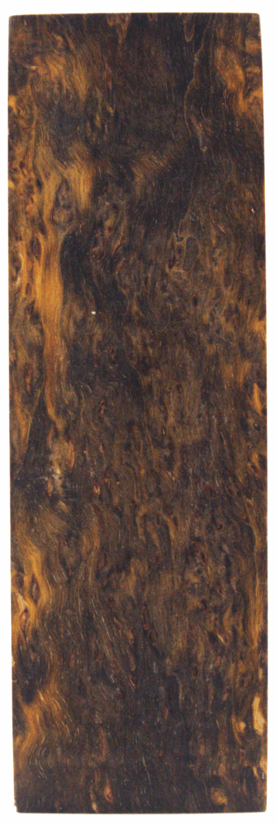Karelische Maserbirke 177 - knifematerio.shop