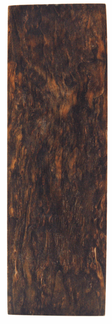Karelische Maserbirke 177 - knifematerio.shop