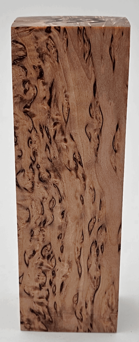 Karelische Maserbirke 333 - knifematerio.shop