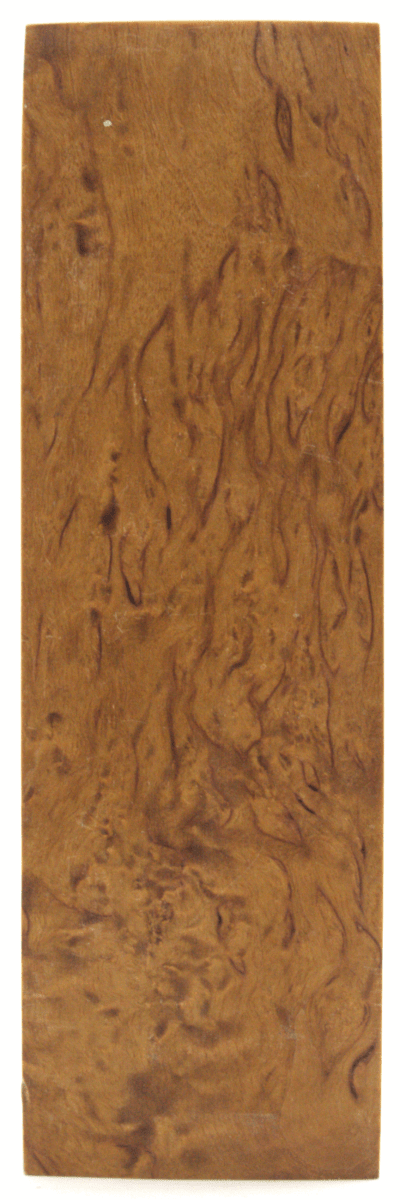 Karelische Maserbirke 334 - knifematerio.shop