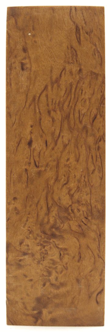Karelische Maserbirke 334 - knifematerio.shop