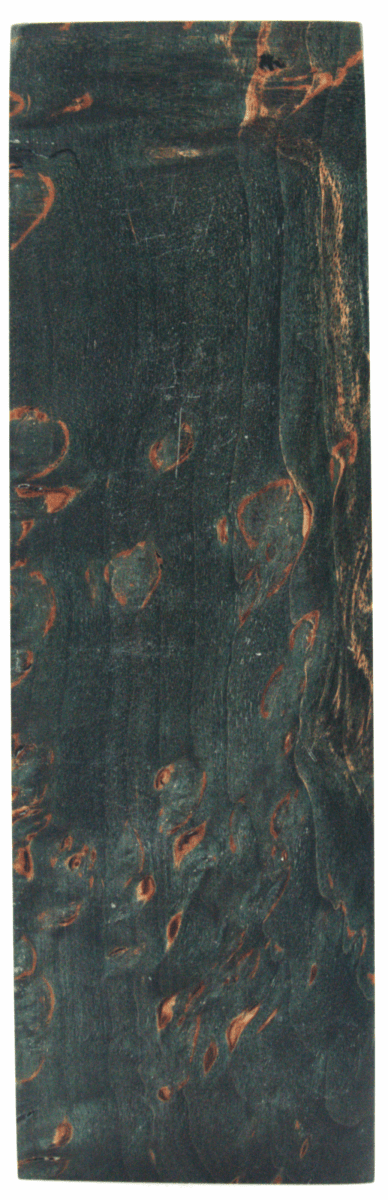 Karelische Maserbirke 357 - knifematerio.shop
