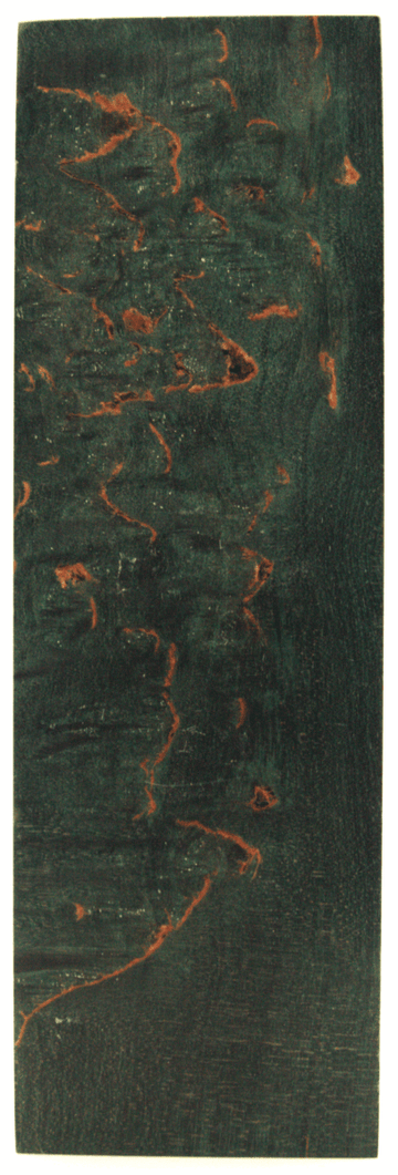 Karelische Maserbirke 376 - knifematerio.shop