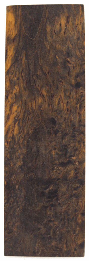 Karelische Maserbirke 62 - knifematerio.shop