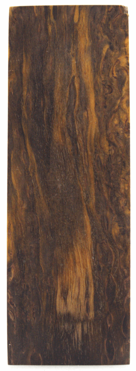 Karelische Maserbirke 63 - knifematerio.shop