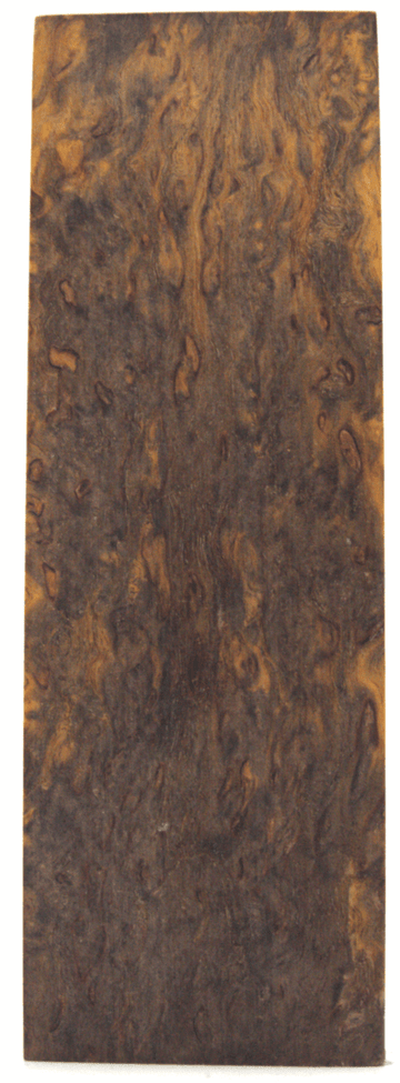 Karelische Maserbirke 63 - knifematerio.shop