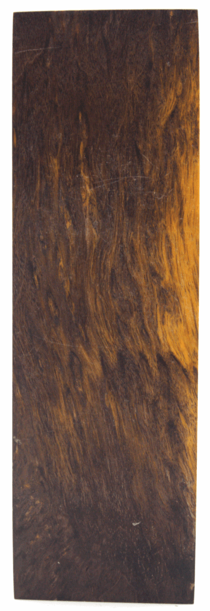 Karelische Maserbirke #67 - knifematerio.shop 