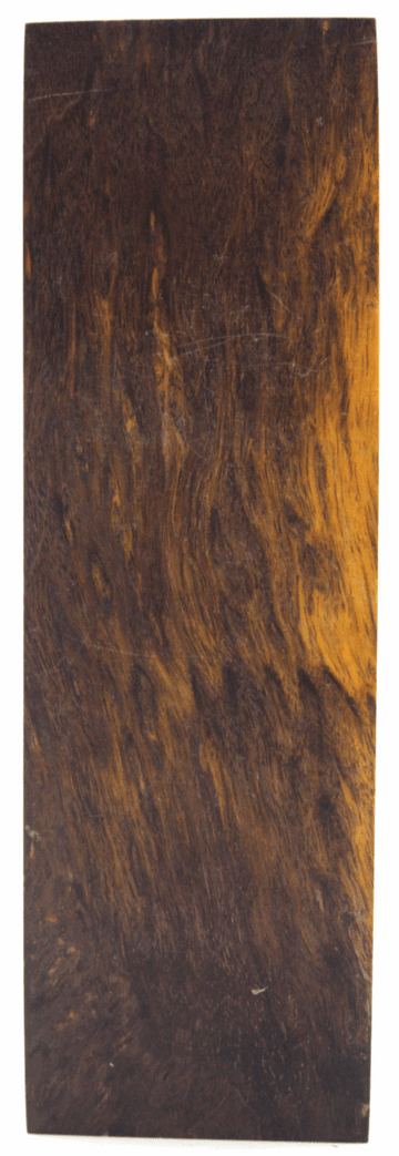 Karelische Maserbirke #67 - knifematerio.shop 