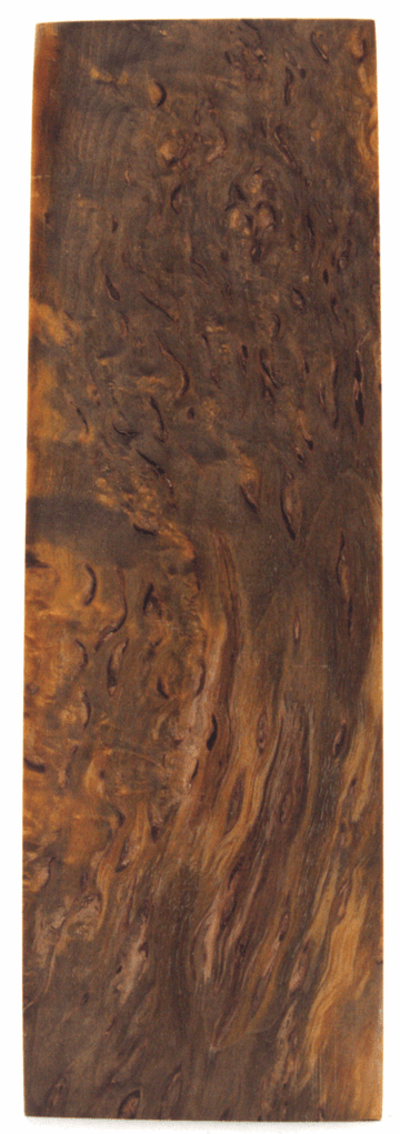 Karelische Maserbirke 73 - knifematerio.shop