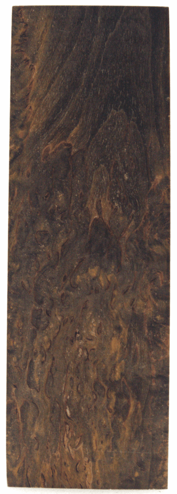 Karelische Maserbirke 74 - knifematerio.shop