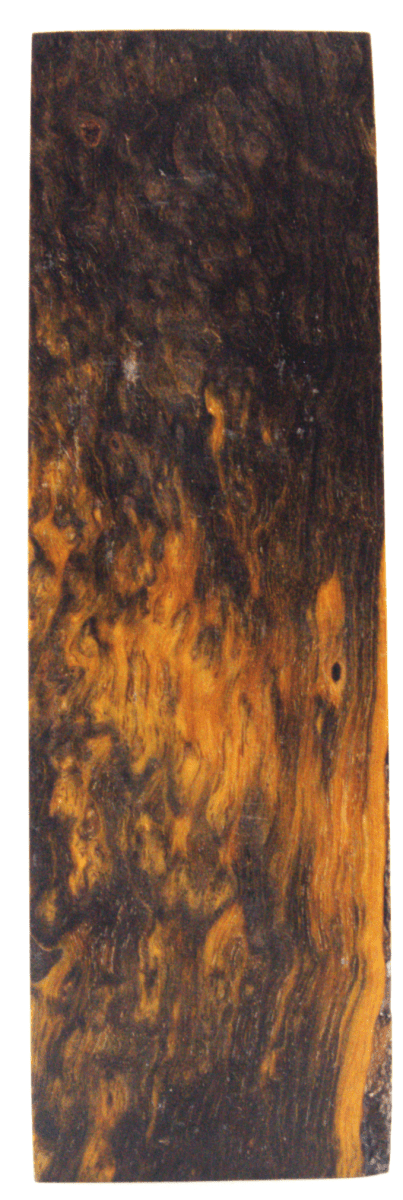 Karelische Maserbirke 96 - knifematerio.shop