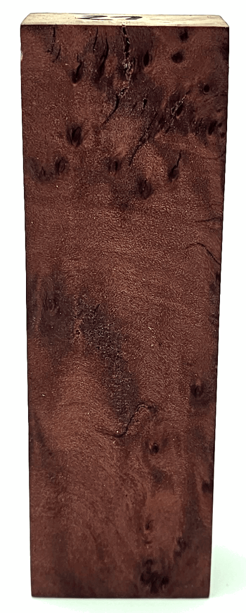 Stabilisierte Feuerlandkirsche 21 - knifematerio.shop