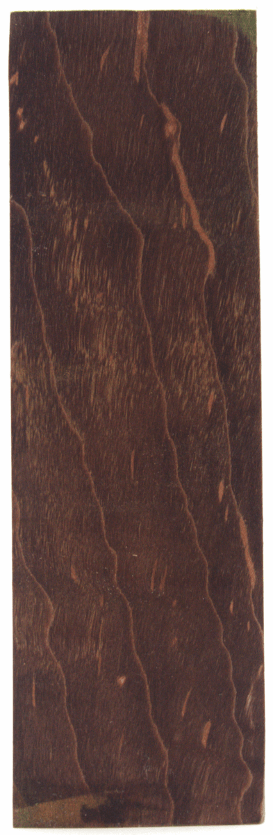 Stabilisierter Riegelahorn 14 - knifematerio.shop
