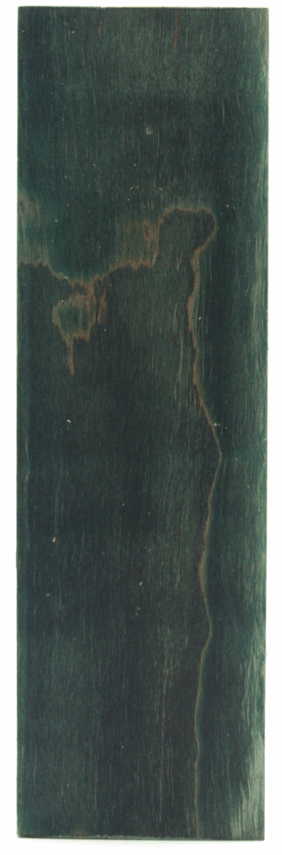 Stabilisierter Riegelahorn 7 - knifematerio.shop